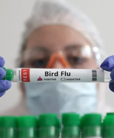 Avustralya8217da-memeliyle-H5N1-kus-gribi-tespit-edildi-featured