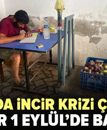 Bursa-incir-sektorunde-alimlar-1-Eylul8217de-yeniden-baslayacak-featured
