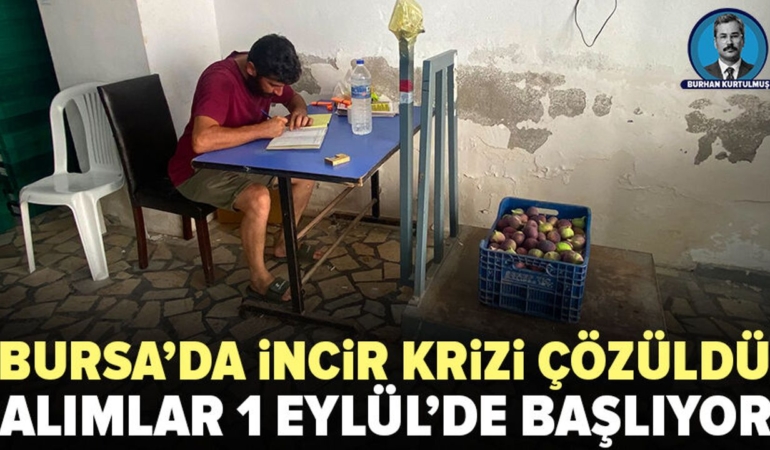 Bursa-incir-sektorunde-alimlar-1-Eylul8217de-yeniden-baslayacak-featured