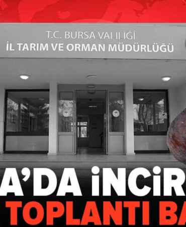 Bursa-kara-incirinde-kriz-Il-Tarim8217da-cozum-zirvesi-featured