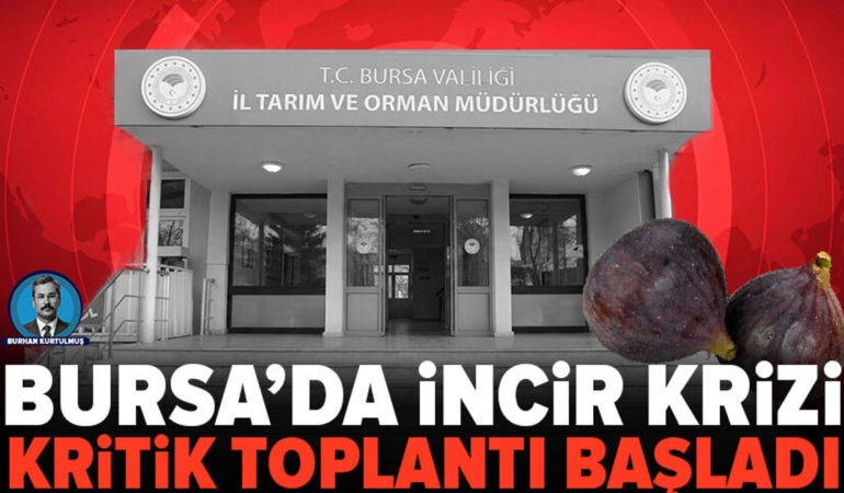 Bursa-kara-incirinde-kriz-Il-Tarim8217da-cozum-zirvesi-featured