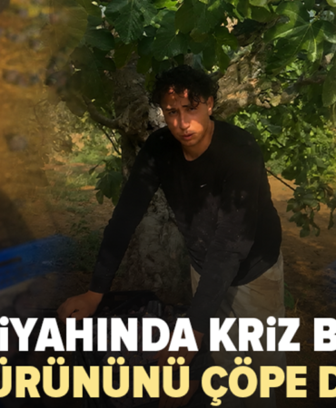 Bursa-siyah-inciri-satilamayinca-ureticiler-cope-dokuyor-featured