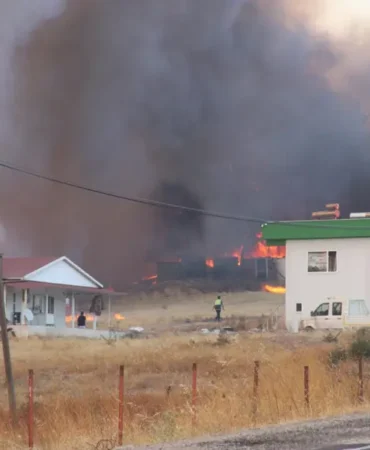 Canakkale8217de-ormanlik-alanda-yangin-cikti-koylere-yakin-bolgede-featured