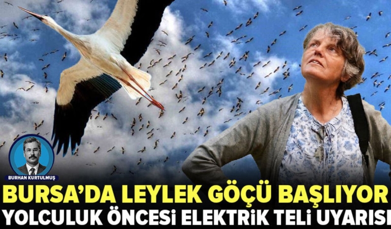 Fadilli8217da-leylekler-goc-icin-veda-ucuslarina-basladi-featured