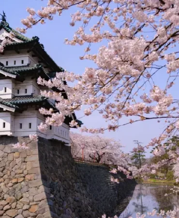 Hirosaki-Kalesi-ana-kulesi-bin-800-kisinin-halatlarla-cekilmesiyle-tasindi-featured