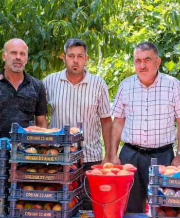 Isaoren8217de-Gulaven-turu-seftali-hasadi-basladi-featured