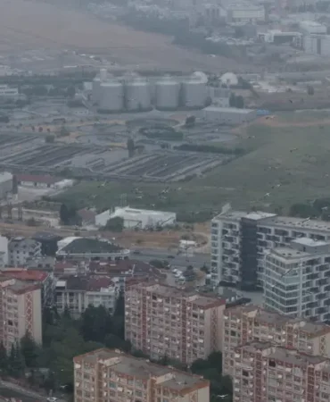 Istanbulda-Leylekler-Goc-Yolunda-Beylikduzu-featured