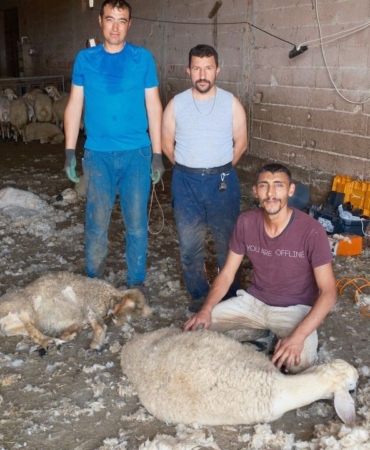 Kirkim-ekipleri-yaz-sezonunda-kisi-basi-250-bin-TL-kazaniyor-featured