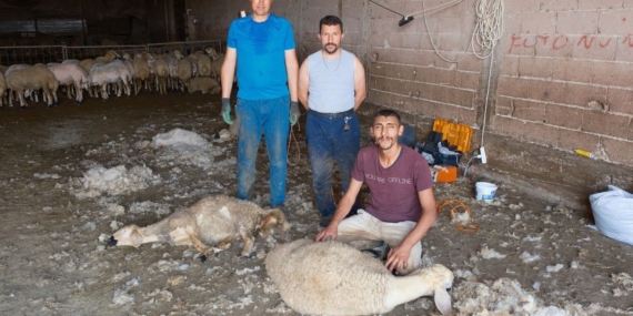Kirkim-ekipleri-yaz-sezonunda-kisi-basi-250-bin-TL-kazaniyor-featured