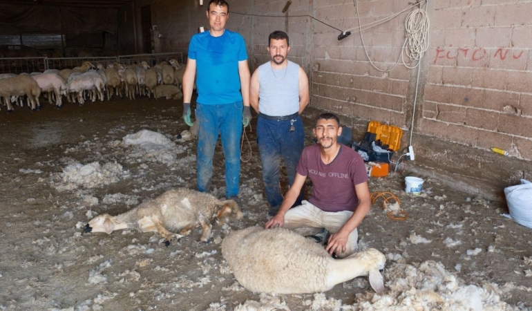 Kirkim-ekipleri-yaz-sezonunda-kisi-basi-250-bin-TL-kazaniyor-featured