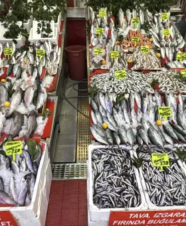 1-Eylul8217de-palamut-bollugu-Karadeniz-tezgahlarinda-featured