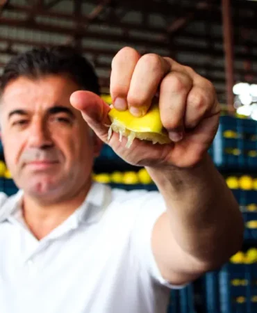Adana8217da-erkenci-limon-hasadi-uretici-5-TL-market-100-TL-featured