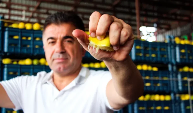 Adana8217da-erkenci-limon-hasadi-uretici-5-TL-market-100-TL-featured