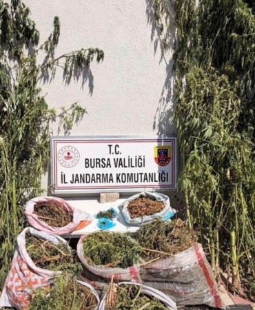 Bursa8217da-22-kilo-675-gram-esrar-ile-116-kok-kenevir-ele-gecirildi-featured
