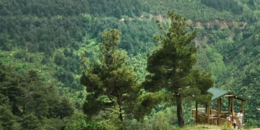 Bursada-Kelesteki-bazi-alanlar-orman-siniri-disina-cikarildi-featured