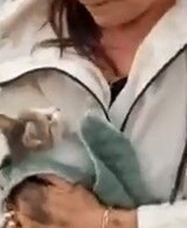 Bursada-yavru-kedi-aracin-tekerine-sigindi-featured