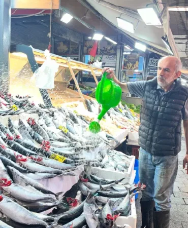 Izmir-tezgahlarinda-palamut-bollugu-Tanesi-100-lira-featured