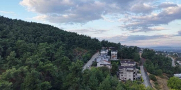 Nilufer-Calida-yerlesim-yakininda-3-ayi-goruldu-featured