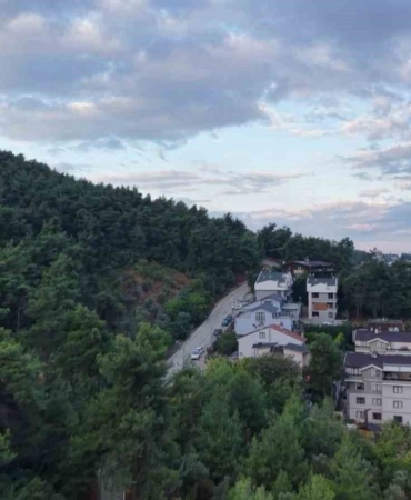 Nilufer-Calida-yerlesim-yakininda-3-ayi-goruldu-featured