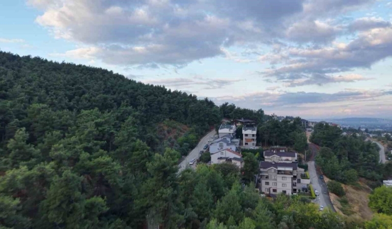 Nilufer-Calida-yerlesim-yakininda-3-ayi-goruldu-featured
