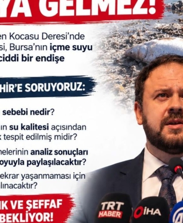 Saadet-Partisi-Bursadan-Cinarcik-Baraji-icin-aciklama-featured