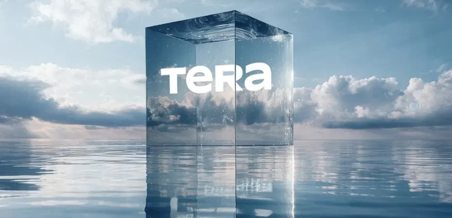 Tera-Portfoy-fon-odemeleri-icin-KAPtan-aciklama-yapti-featured