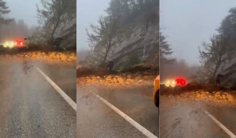 Uludag-yolunda-heyelan-Ekipler-yolu-yeniden-acti-featured