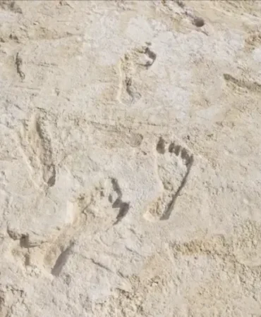 White-Sands-izleri-insanlarin-Amerikaya-gelisini-geriye-cekti-featured
