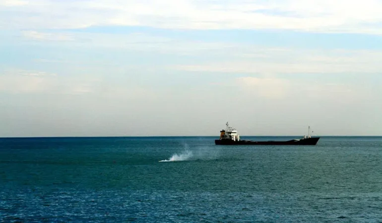 Bulgaristan, Karadeniz güvenliği için Türkiye ve Romanya’yı çağıracak
