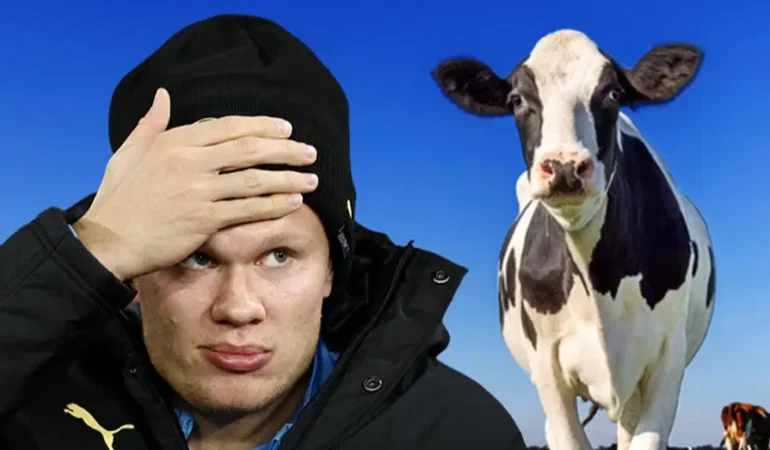 Erling Haaland futbol sonrası çiftlik hayatına hazırlanıyor