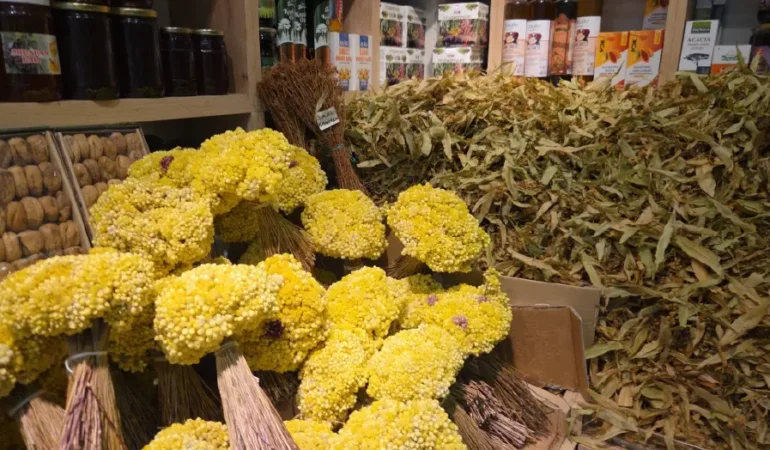 Ihlamurda bolluk fiyatı 1.500 TL’ye çekti