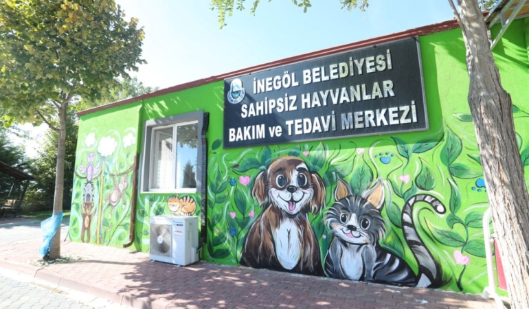 İnegöl’de öğrenciler hayvan sevgisi için duvarları boyadı