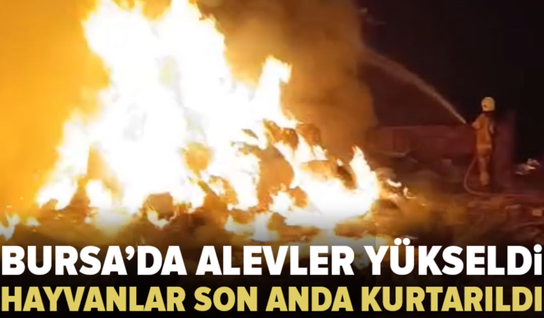 Karacabey’de çiftlik yangını: Hayvanlar kurtarıldı