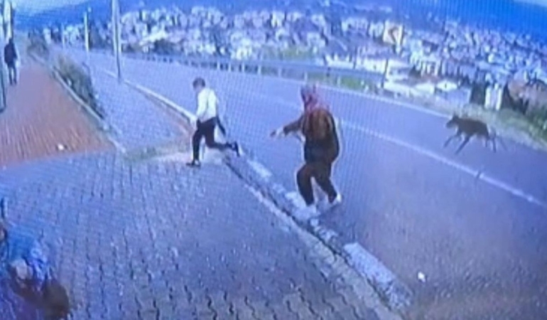 Orhangazi’de köpekten kaçan 11 yaşındaki çocuk yaralandı