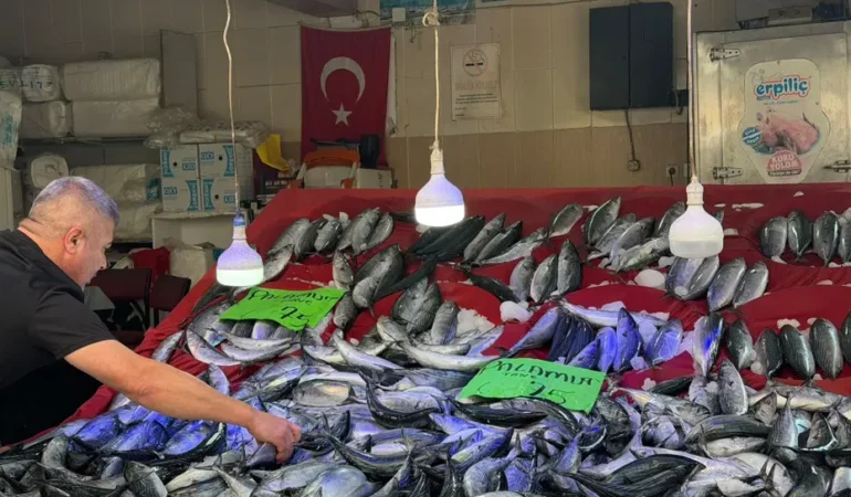 Türkeli’de palamut bolluğu fiyatları yarıya indirdi